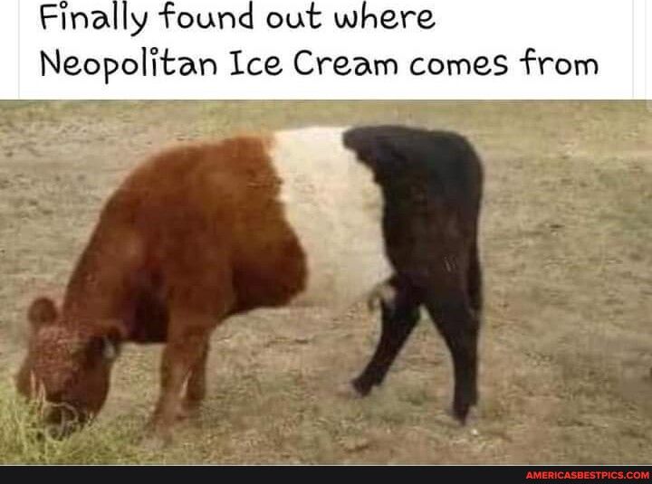 Finally found out where Neopolitan Ice Cream comes from