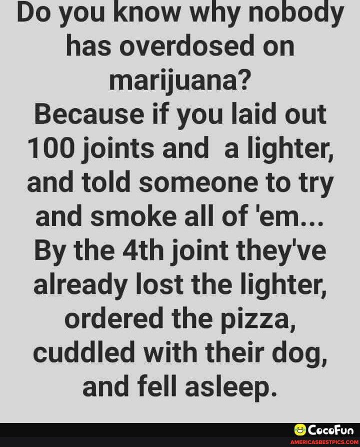 Do you know why nobody has overdosed on marijuana Because if you laid out 100 joints and a lighter and told someone to try and smoke all of em By the 4th joint theyve already lost the lighter ordered the pizza cuddled with their dog and fell asleep