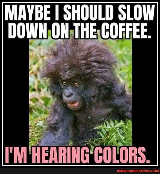 MAYBE SHOULD SLOW DOWNONTHE GDEEEE IM HEIIHINGGULOHS