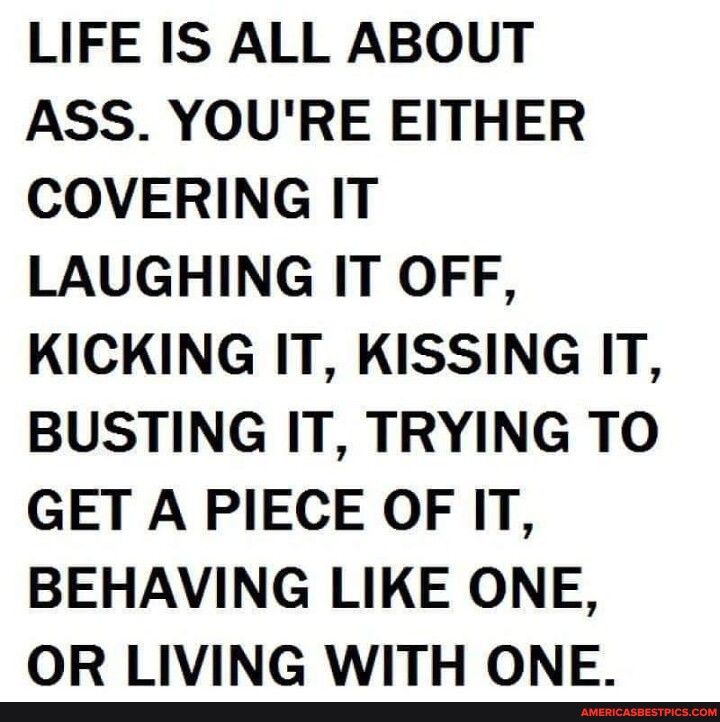 LIFE IS ALL ABOUT ASS YOURE EITHER COVERING IT LAUGHING IT OFF KICKING IT KISSING IT BUSTING IT TRYING TO GET A PIECE OF IT BEHAVING LIKE ONE OR LIVING WITH ONE T amemicASsesTICS COM