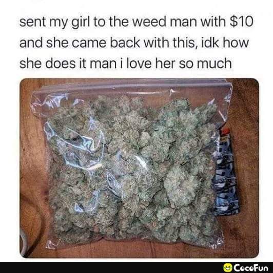 sent my girl to the weed man with 10 and she came back with this idk how she does it man i love her so much CTar