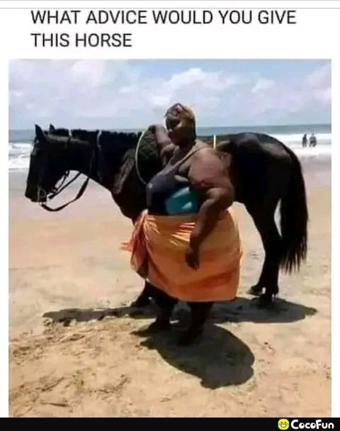 WHAT ADVICE WOULD YOU GIVE THIS HORSE