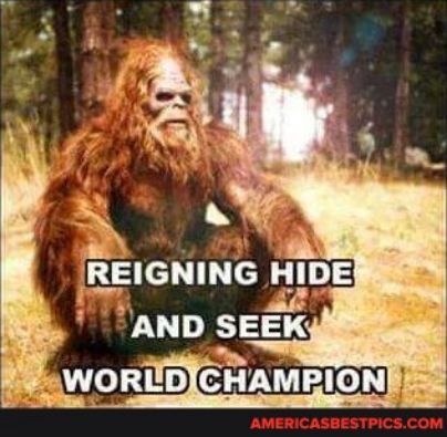 I A2 ANDSE WORLDIGHRMION 2 i L