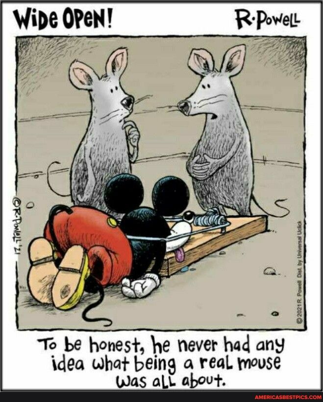 To be honest he never had any idea what being a real movse as all about