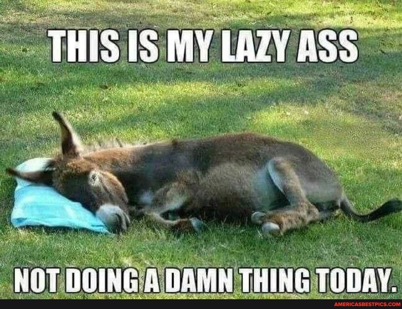 THISISMY LAZY ASS g Y NOTDOINGADAMNTHING TODAY