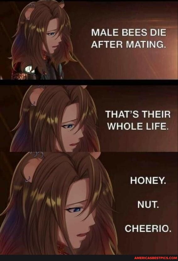 W MALE BE AFTER M 1 3PN RO CNEN e ww B ATS THER WHOLE LIFE 40N J Ak CHEERIO