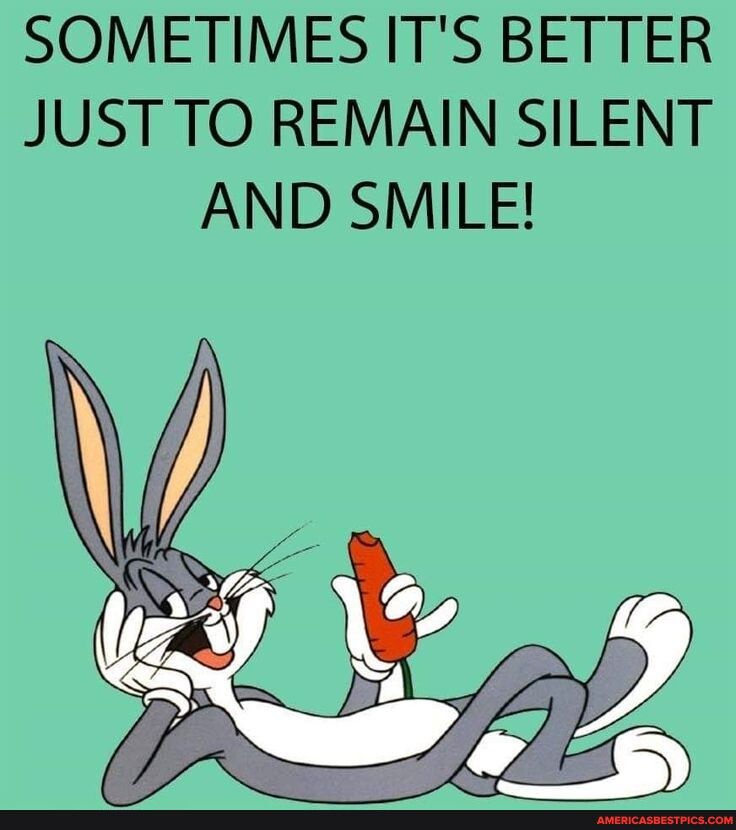 SOMETIMES ITS BETTER JUST TO REMAIN SILENT AND SMILE