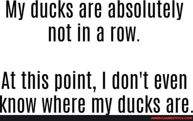My ducks are ansolutely notina row At this point I dont even Know where my ducks are