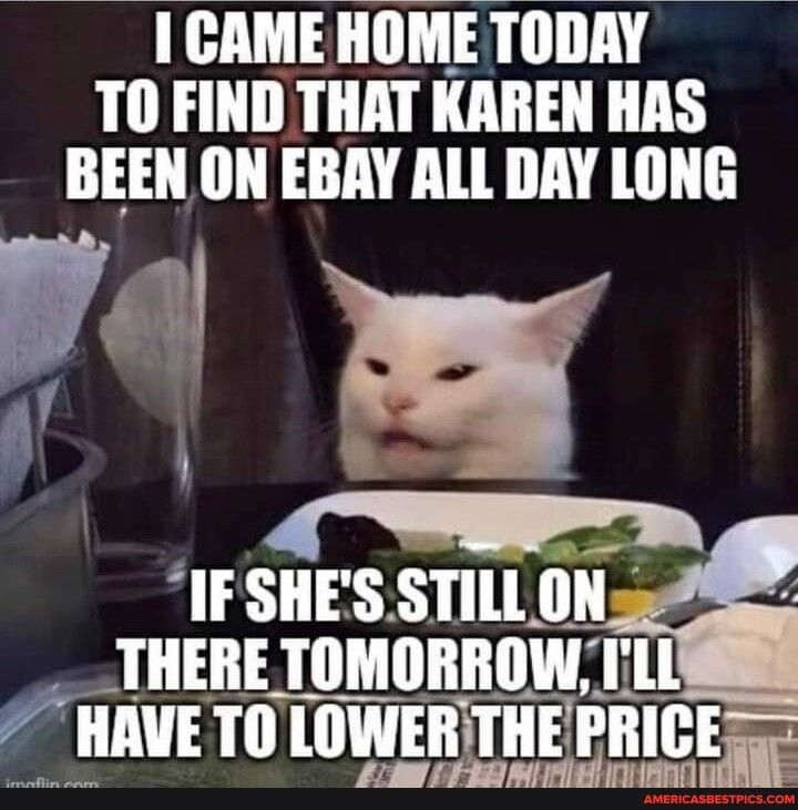 ICAMEHOMETODAY T0 FIND THAT KAREN HAS BEEN ON EBAY ALL DAY LONG i P s LT T T _THERE TOMORROW Tl HAVETO LOWERTHE PRICESS yZ 0 8 1L 3 A