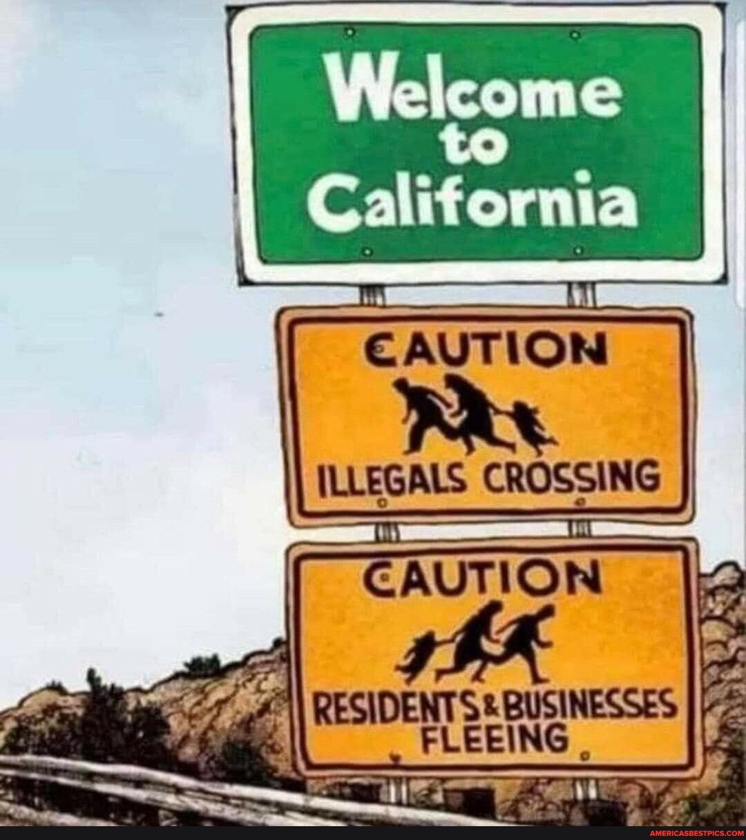 tAUIION m MEGIIS CNDSSIG