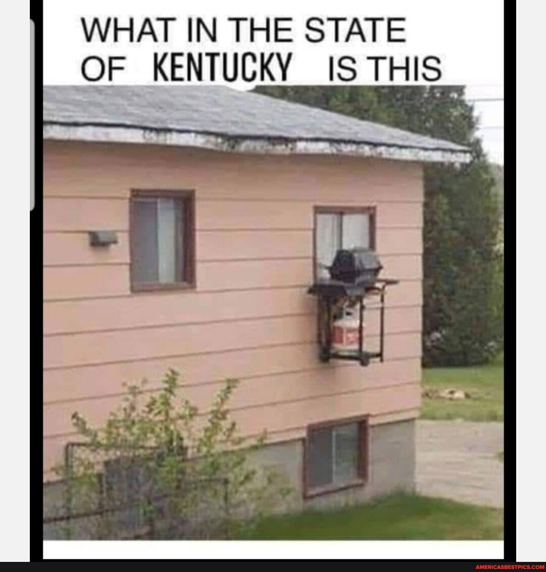 WHAT IN THE STATE OF KENTUCKY IS THIS
