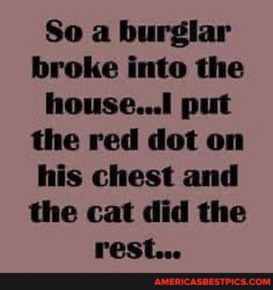 So a burglar broke into the housel put the red dot on his chest and the cat did the rest S ANChaRTIES 00N