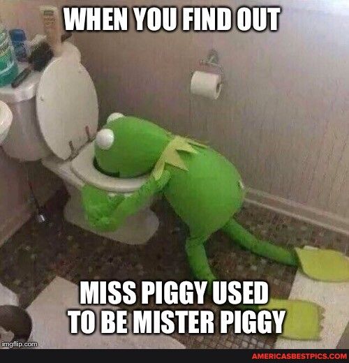 4 AMISS PIGGY USED TOBEMISTER PIGGY