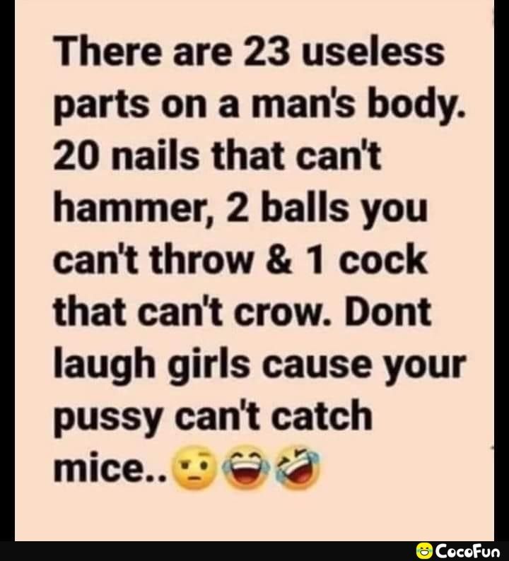 There are 23 useless parts on a mans body 20 nails that cant hammer 2 balls you cant throw 1 cock that cant crow Dont laugh girls cause your pussy cant catch mice td