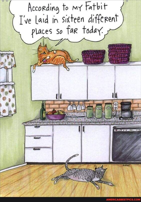 Aecording to my Fatbit Tve Laid in Sixteen different places so Tag today