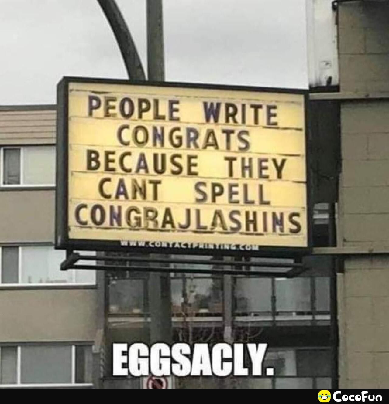 _ __i __ EGGSACLY B 2 v