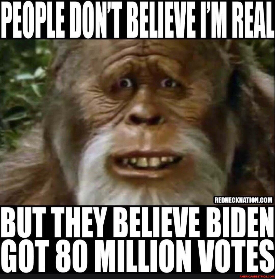 PEOPLE DONT BELIEVE M REAL BUT THEY BELIEVE BIDEN GOT 80 MILLION VOTES