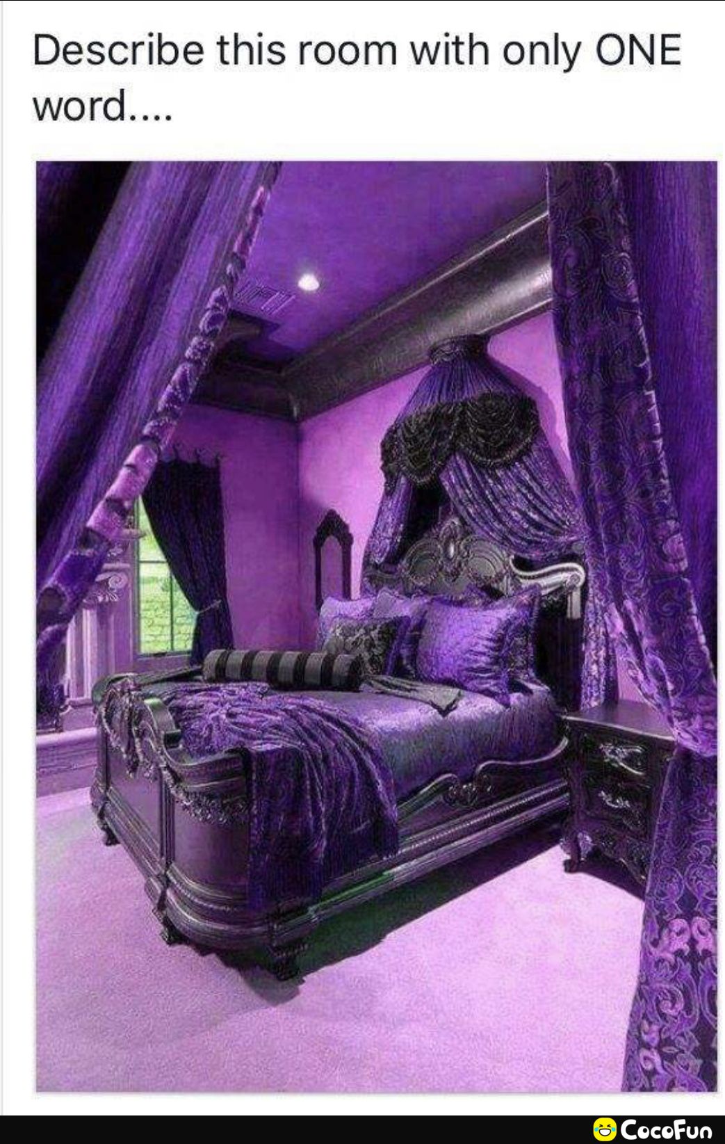 Describe this room with only ONE word CocoFun