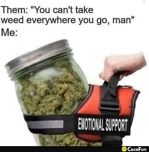 Them You cant take weed everywhere you go man Me