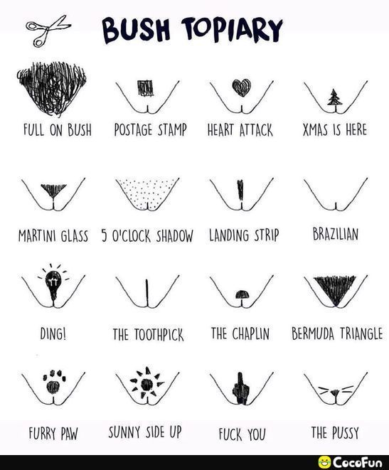 BUSH TOPIARY w v FULL ON BUSH POSTAGE STAMP HEART ATTACK XMAS 1S HERE Y V MARTING GLASS 5 0CLOCK SHADOW LANDING STRIP BRAZILIAN W W DING THE TOOTHPICK THE CHAPLIN BERMUDA TRIANGLE N FURRY PAW SUNNY SIDE UP fUCKk You THE PUSSY Cocofun