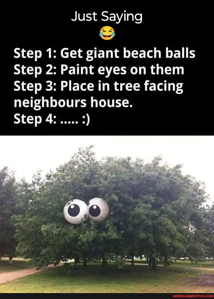 Just Saying N R R FEN LTS L Step 2 Paint eyes on them Step 3 Place in tree facing QEFGUITER TER Step 42