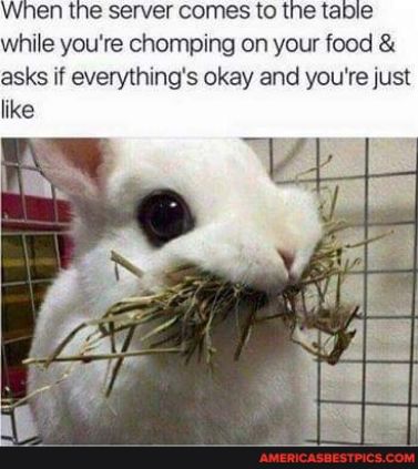 When the server comes to the table while youre chomping on your food asks if everythings okay and youre just