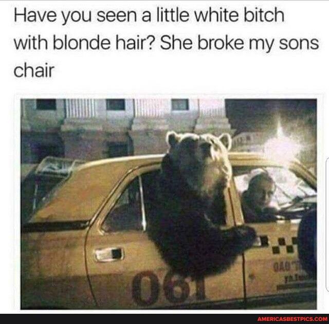 Have you seen a little white bitch with blonde hair She broke my sons chair