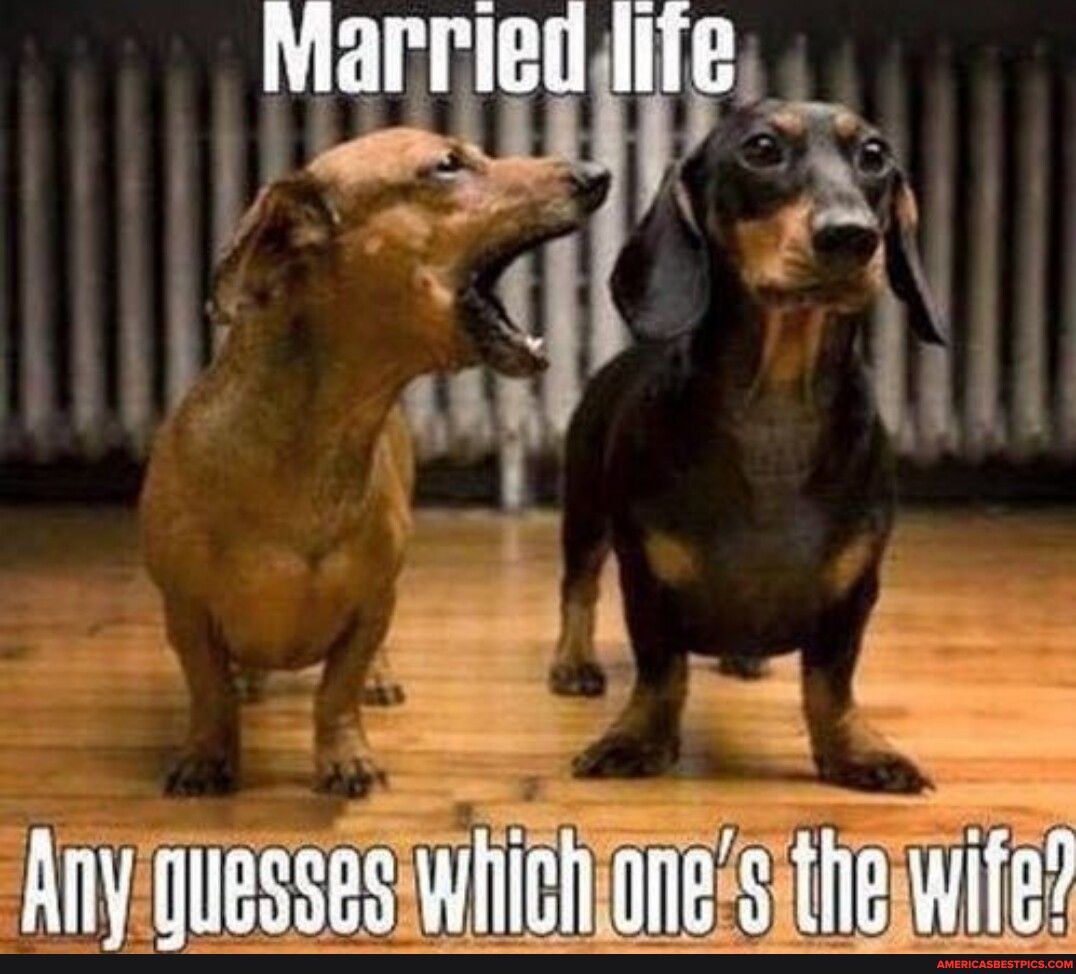 Married ilza v il Any uuessswlll fioness BJM