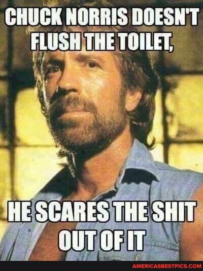 CHUCK NORRIS DOESNT FLUSHTHE TOILET