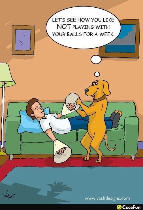LETS SEE HOW YOU LIKE NOT PLAYING WITH YOUR BALLS FOR A WEEK