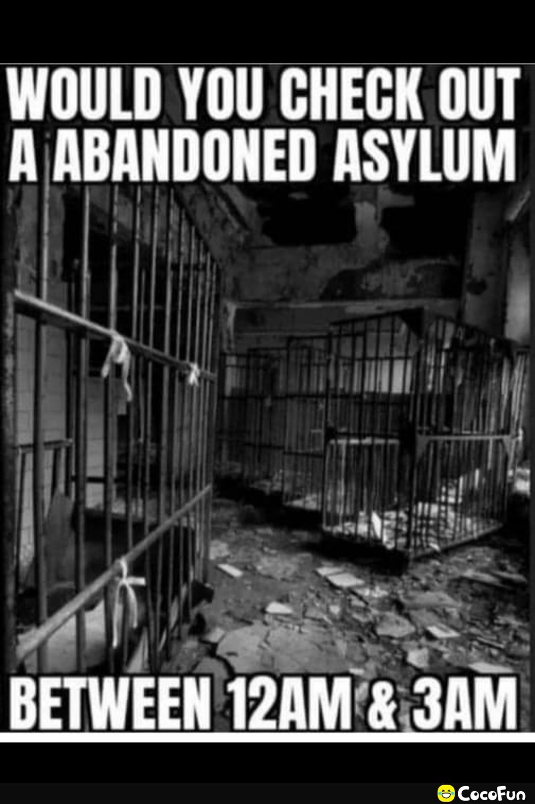 WOULD YOU GHEGK OUT A ABMIIIIIIEI ASYLUM BETWEEII IZAM 3AM CocoFun