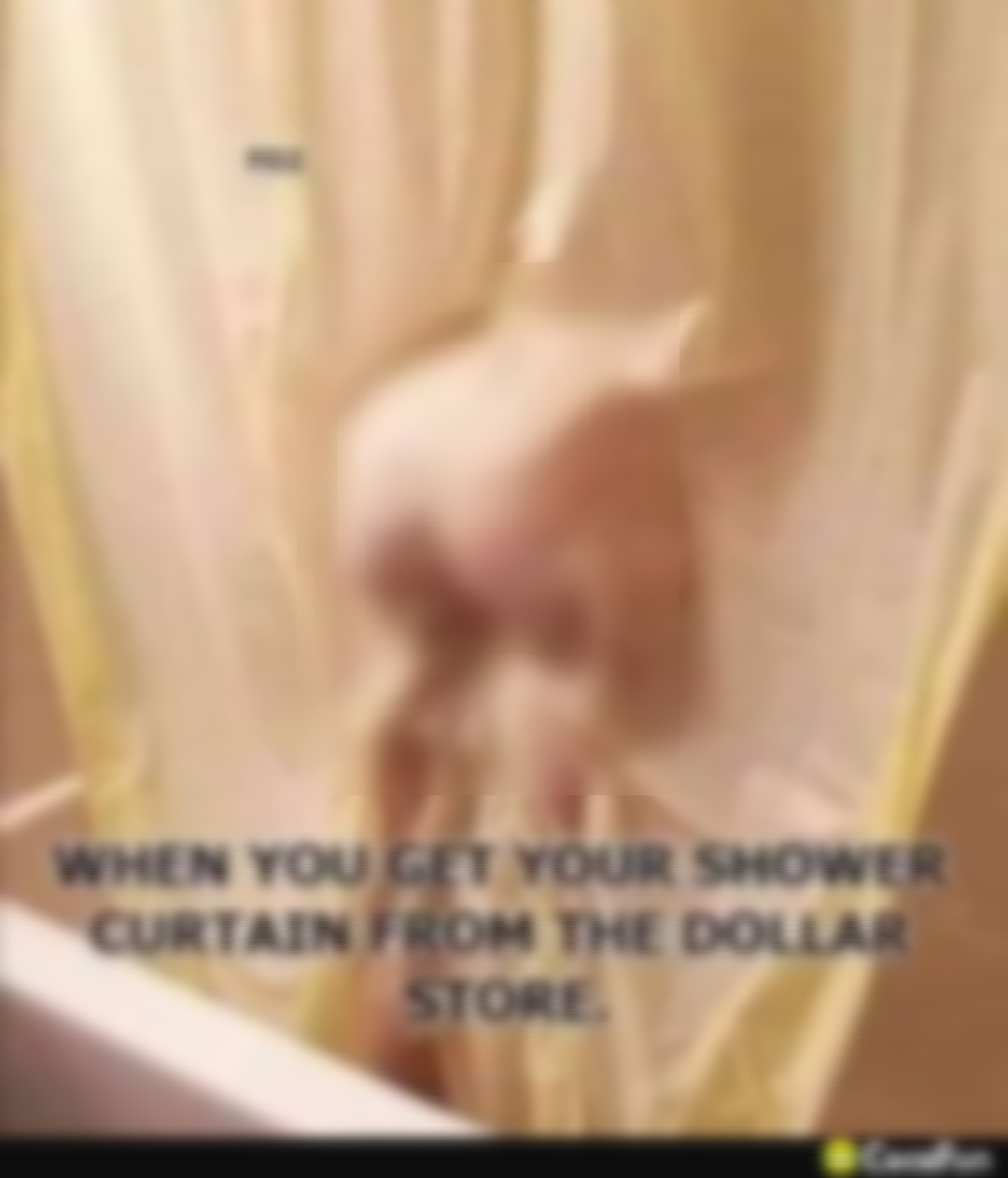 N Y Y L 7 R WHEN YOU GET YOUR SHOWER CURTAIN FROM THE DOLLAR STORE m