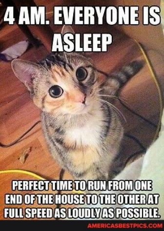 LU RS TS ls P Asmp Pinrmnmm nuu FROMONE END OFTHEHOUSETOTHEOTHERAT FULLSPEEDASLOUDLYASPOSSIBLE