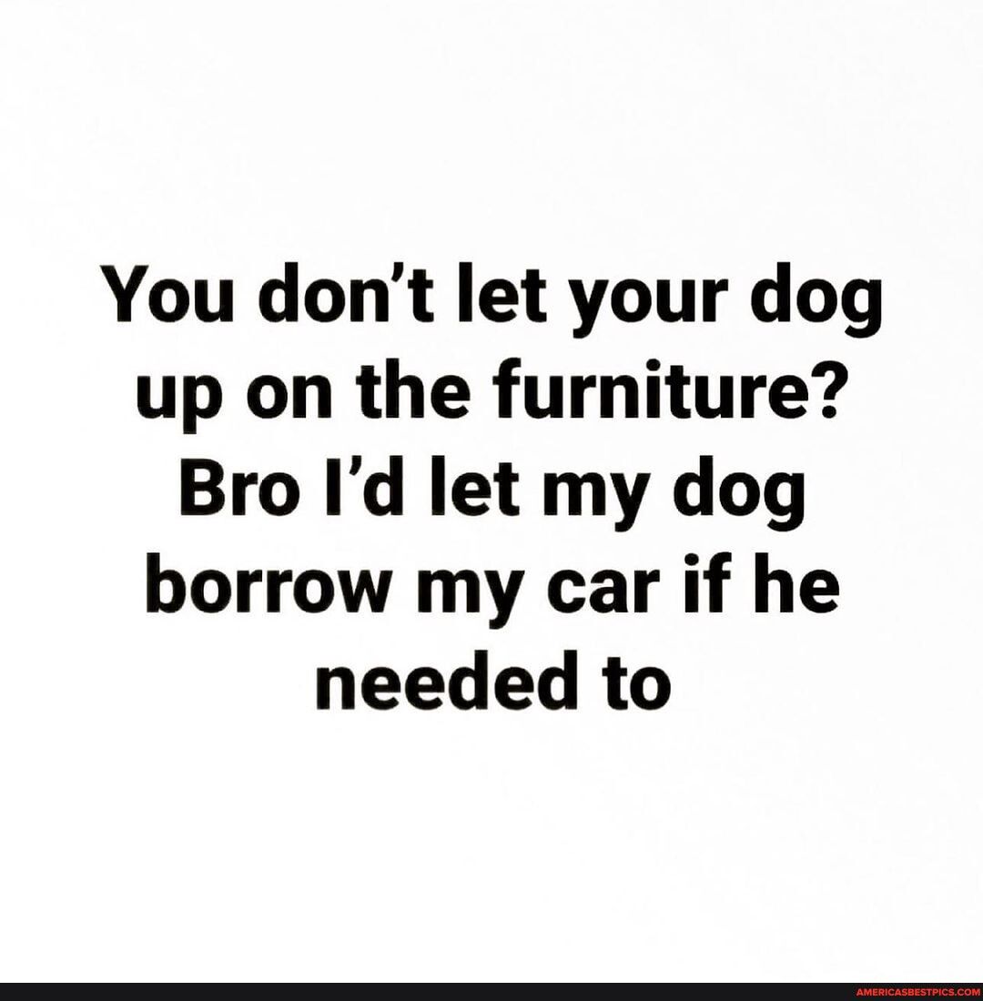You dont let your dog up on the furniture Bro Id let my dog borrow my car if he needed to