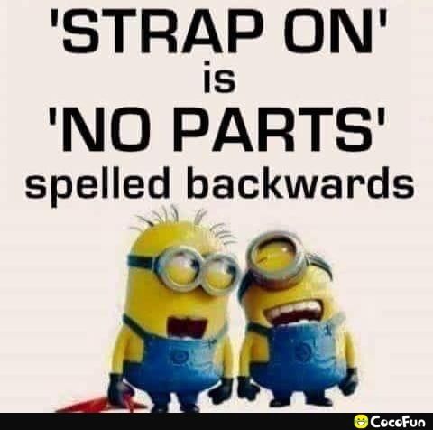 STRAP ON IS NO PARTS spelled backwards