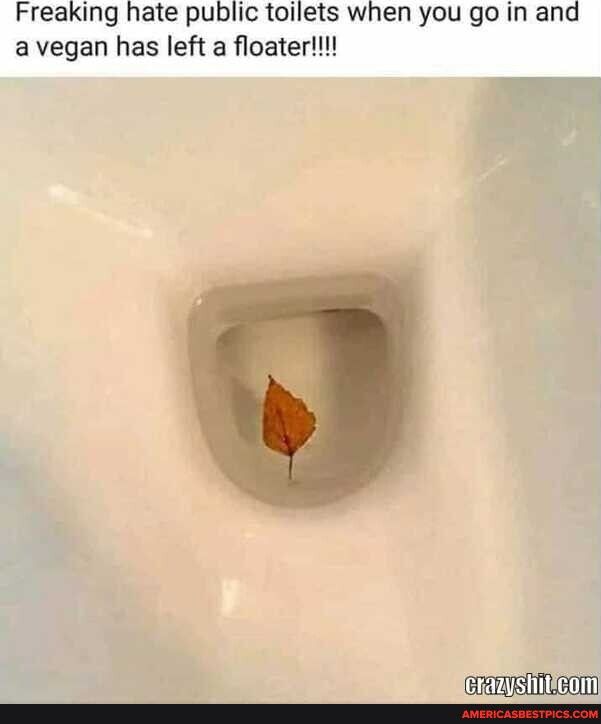 Freaking hate public toilets when you go in and avegan has left a floater