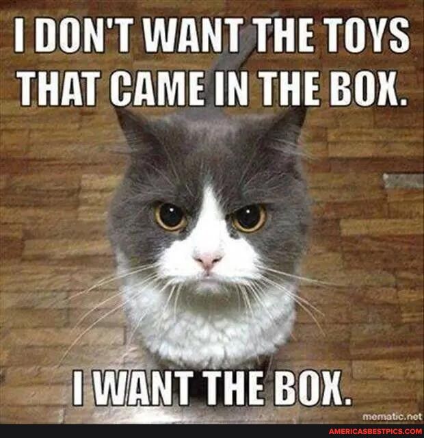 I DONT WANT THETOYS THAT CAME IN THE BOK l_ ANT THEBOK