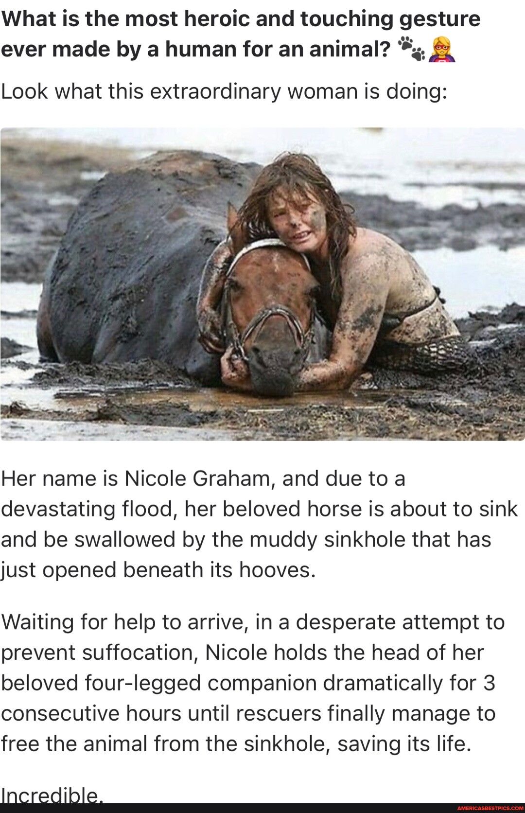 What is the most heroic and touching gesture ever made by a human for an animal 3 Look what this extraordinary woman is doing Her name is Nicole Graham and due to a devastating flood her beloved horse is about to sink and be swallowed by the muddy sinkhole that has just opened beneath its hooves Waiting for help to arrive in a desperate attempt to prevent suffocation Nicole holds the head of her b