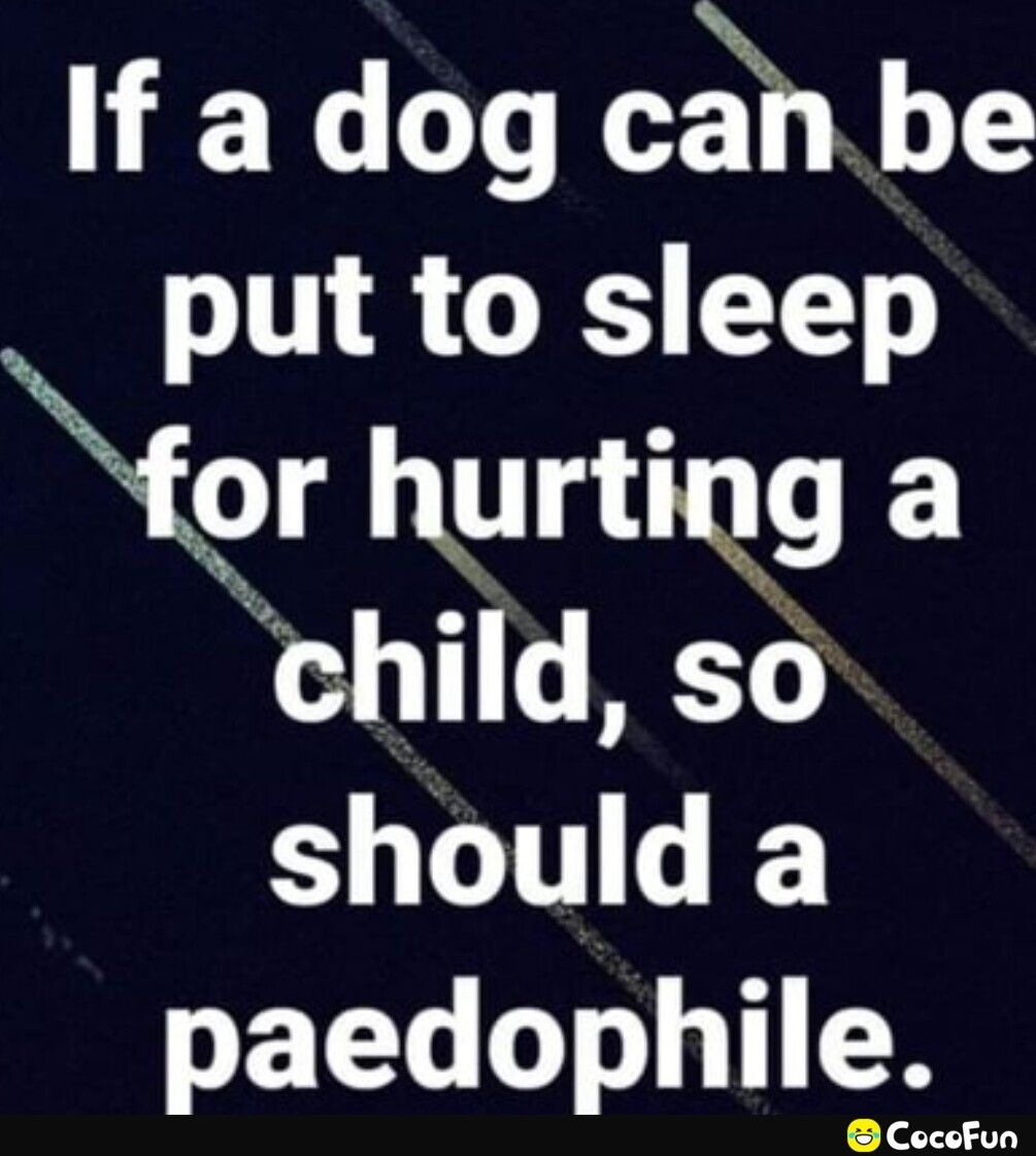 If a dog cahbe o 11 G TT gr hurting a child so should a nnnnnnn