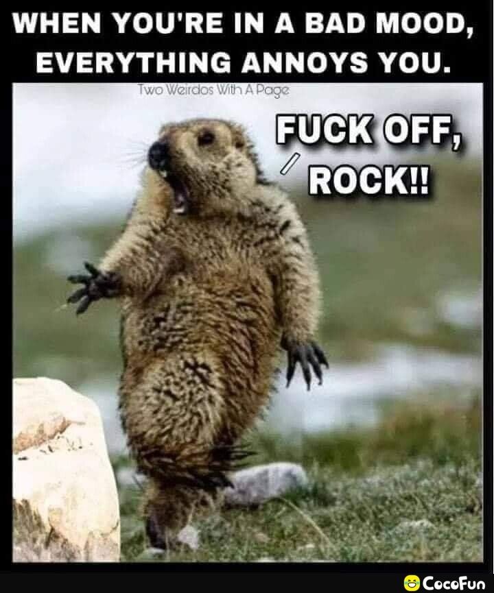 WHEN YOURE IN A BAD MOOD EVERYTHING ANNOYS YOU