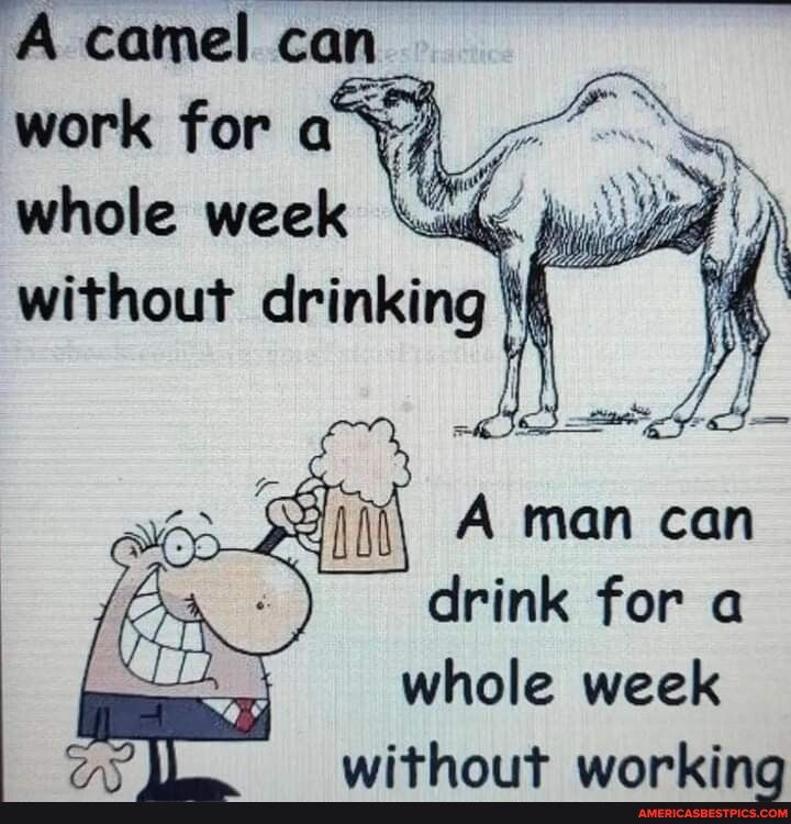 work for a 7 drink for a whole week without working