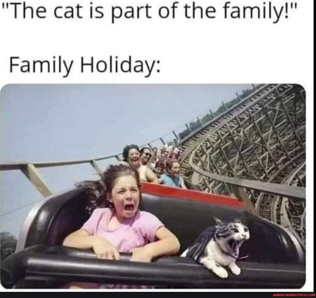 The cat is part of the family Family Holiday