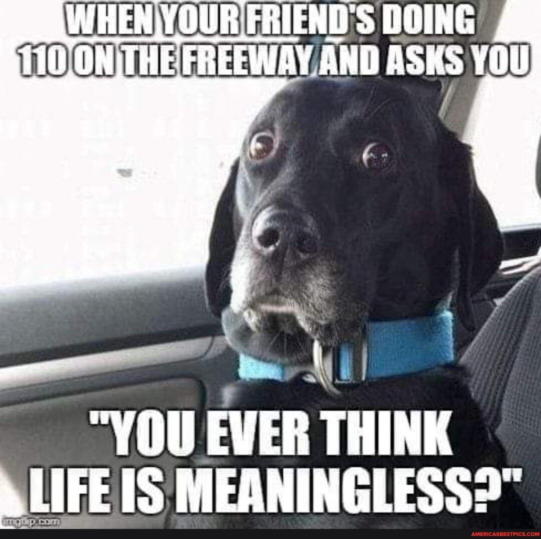 WHENYOURIFRIENDS DOING 110ONTHEFREEWAYAND ISK 10 YOU EVEII Ll MLIFEIS MEANINGLESS S