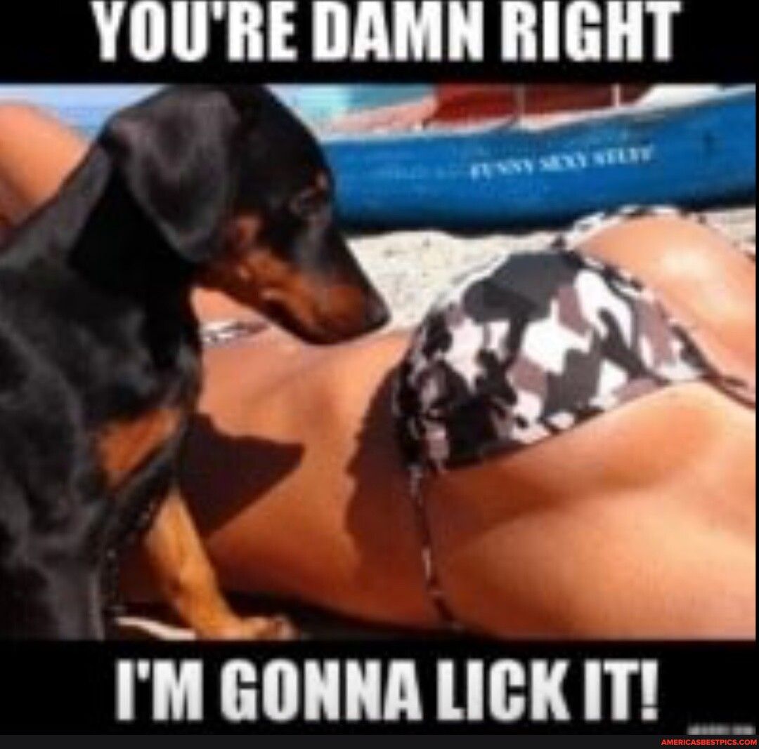 YOURE DAMN RiGRT J e IM GONNALICKIT