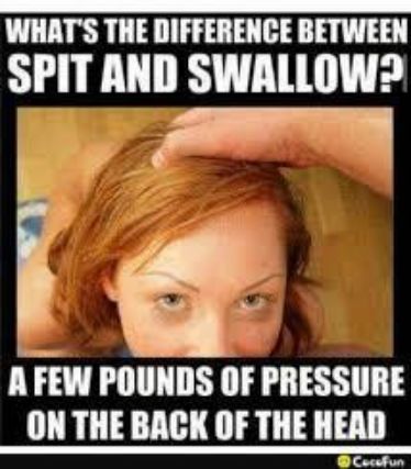 WHATS THE DIFFERENCE BETWEEN SPIT AND SWALLOW A A FEW POUNDS OF PRESSURE ON THE BACK OF THE HEAD