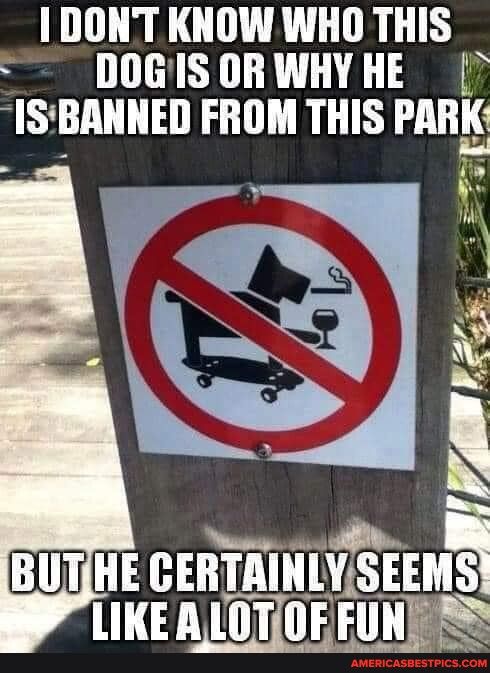 DONT KNOW WHO THIS DOGISORWHYHE ISBANNED FROM THIS PARK 3 b BUTJHE GEBTAINthEE LIKEALOTIOF FUNES