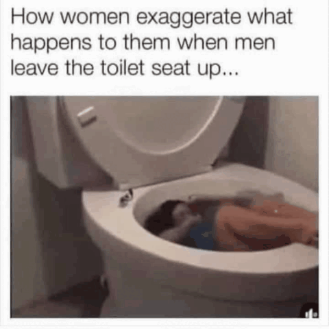 How women exaggerate what happens to them when men leave the toilet seat up