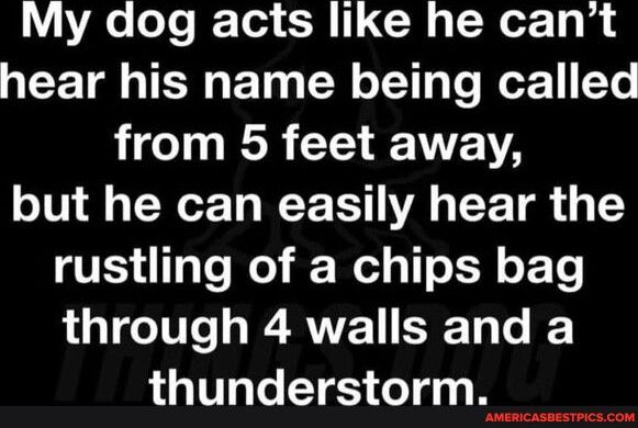Re loTe Tod S 1 g T NoT 1010 hear his name being called LTI CE A but he can easily hear the QVESTaTe lo Wel g 1T o o TTo through 4 walls and a thunderstorm