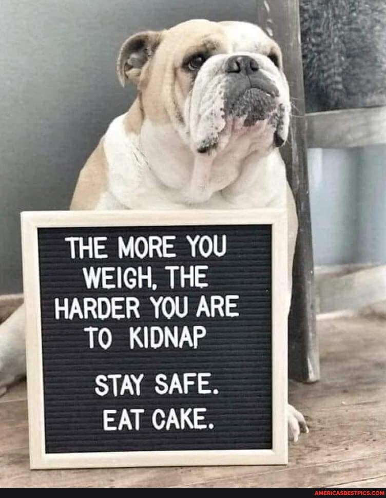 THE MORE YOU WEIGH THE TO KIDNAP STAY SAFE EAT CAKE