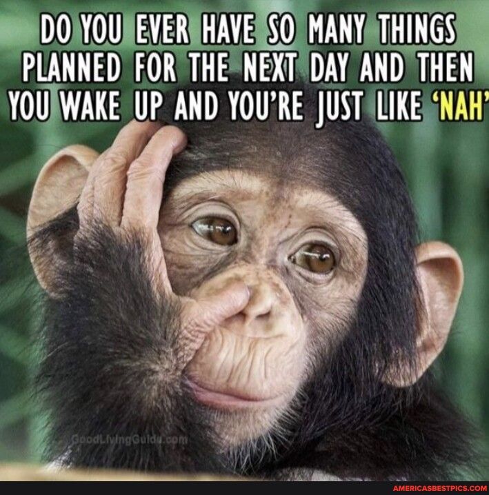 DO 3 T SOMNWHINGS PLANNED FORVTHE m ANDTHEN YOUAWAKE UP AND YOURE jUSTI_lIIENAH